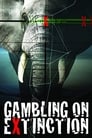 Gambling on Extinction poszter