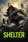Shelter poszter
