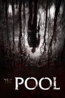 The Pool poszter