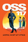 OSS 117: Cairo, Nest of Spies poszter