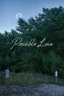 Possible Love poszter