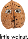 Little Walnut Productions