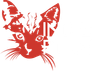 Indie Film AS