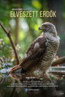 Elveszett erdők poszter