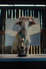 Sheep poszter