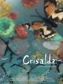 card-thumbnail