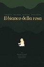 il bianco della rosa poszter