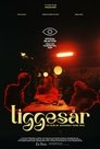 Liggesår poszter