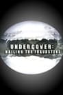 Undercover: Nailing the Fraudsters poszter