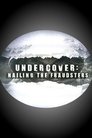 Undercover: Nailing the Fraudsters poszter