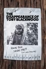 The Disappearance of Toby Blackwood poszter