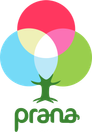 Prana Filmes