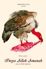 card-thumbnail