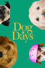 Dog Days poszter