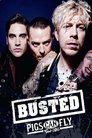 Busted: Pigs Can Fly Tour 2016