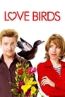 Love Birds poszter