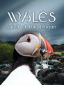 Wales: Spirit of the Dragon poszter