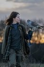H Is for Hawk poszter