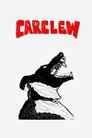 card-thumbnail