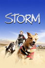 Storm poszter