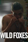 Wild Foxes poszter