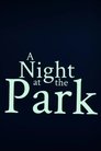 A Night at the Park poszter
