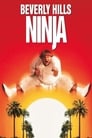 Beverly Hills Ninja poszter