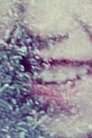 card-thumbnail