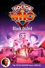 Doctor Who: Black Orchid poszter