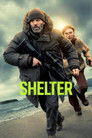 Shelter poszter
