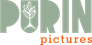 Purin Pictures