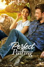 A Perfect Pairing poszter