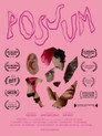 POSSUM poszter