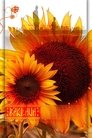 card-thumbnail