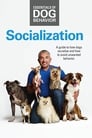Essentials of Dog Behavior: Socialization poszter