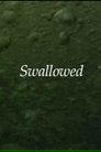 card-thumbnail