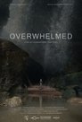 card-thumbnail
