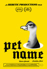 Pet Name poszter