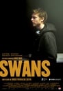 Swans poszter