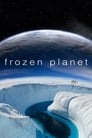 Frozen Planet poszter