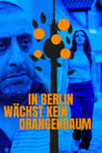 In Berlin wächst kein Orangenbaum poszter