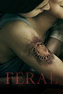 Feral poszter