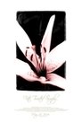 card-thumbnail