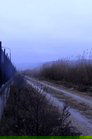 card-thumbnail