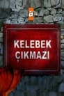 Kelebek Çıkmazı poszter