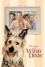 Because of Winn-Dixie poszter