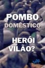Pombo Doméstico: Herói ou Vilão?