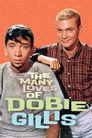 The Many Loves of Dobie Gillis poszter