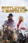 Mistletoe in Montana poszter