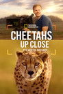 Cheetahs Up Close with Bertie Gregory poszter
